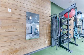 Fitness equipment storage rack with training accessories